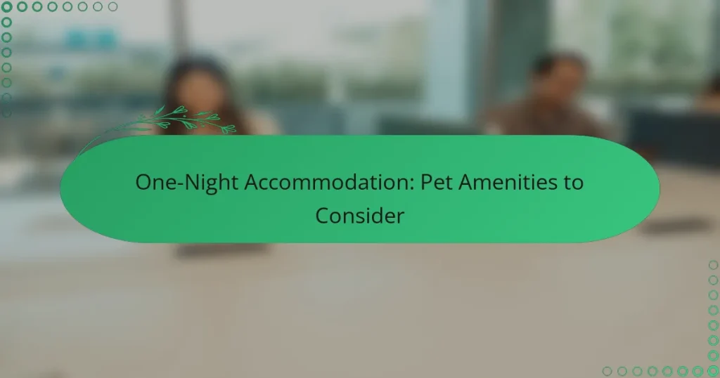 One-Night Accommodation: Pet Amenities to Consider