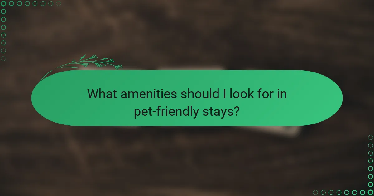 What amenities should I look for in pet-friendly stays?